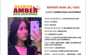 ALERTA AMBER