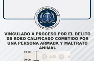 Logra FGE vincular a proceso a sujeto por los delitos de robo calificado y maltrato animal