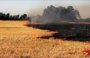 BUSCAN REGULAR QUEMAS AGRÍCOLAS