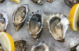 RECONOCEN A NIVEL NACIONAL EL POTENCIAL ACUÍCOLA DE BAJA CALIFORNIA