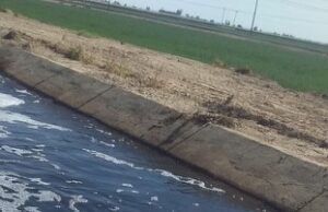 Genera preocupación agua rojiza en canales del Valle de Mexicali
