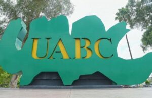 QUINCE LICENCIATURAS OBTIENEN SELLOS DE CALIDAD INTERNACIONAL