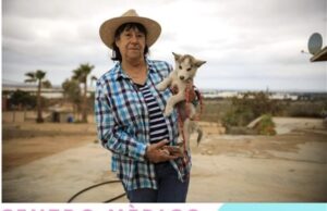 REFUERZAN AUTORIDADES DE SALUD DE MÉXICO Y EU ACCIONES BINACIONALES CONTRA LA RICKETTSIA