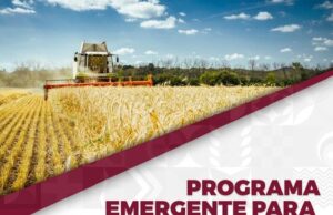 RECIBE GOBIERNO DEL ESTADO SOLICITUDES PARA EL PROGRAMA EMERGENTE AL INGRESO DEL TRIGO