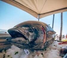 DISFRUTAN “COCINA LA BAJA” CIENTOS DE COMENSALES