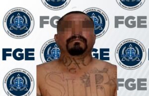 VINCULACIÓN DE SUJETO POR LOS DELITOS DE VIOLENCIA FAMILIAR Y CRUELDAD ANIMAL