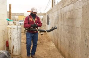 PROMUEVEN PREVENCIÓN Y DETECCIÓN OPORTUNA DE LA RICKETTSIA