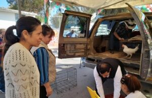 EN BAJA CALIFORNIA IMPULSAN EL DESARROLLO DE FAMILIAS CON ENTREGA DE GALLINAS PONEDORAS