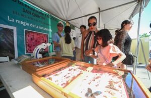 MILES FESTEJAN EL DÍA DEL ORGULLO CIMARRÓN