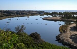 REALIZARÁN FORO SOBRE CONCIENTIZACIÓN DEL CUIDADO DEL AGUA