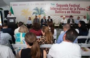 CRECE 8.12% SUPERFICIE SEMBRADA DE PALMA DATILERA EN EL PAÍS; MÉXICO OCUPA EL TERCER LUGAR MUNDIAL DE PRODUCCIÓN DE DÁTIL