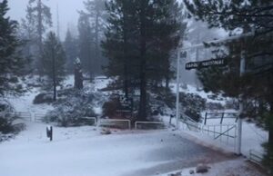 CIERRAN SAN PEDRO MÁRTIR POR NEVADA