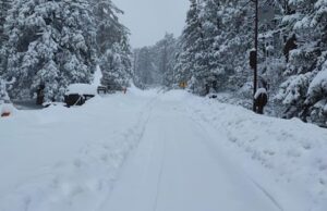 LLEGA LA SÉPTIMA TORMENTA INVERNAL