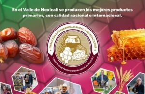 INVITA DERYD A VISITAR A LOS PRODUCTORES DEL VALLE DE MEXICALI EN LA AGROBAJA 2024