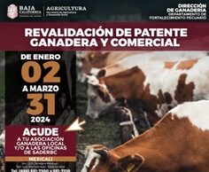 INVITAN A APROVECHAR ÚLTIMOS DÍAS PARA REVALIDACIÓN DE PATENTE GANADERA Y COMERCIAL