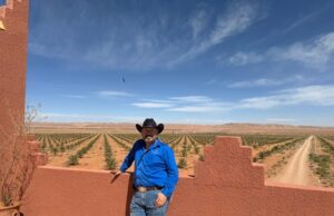 INGENIERO MEXICANO NATIVIDAD JAIME ASESORA LA EXPANSIÓN DE PROYECTO DATILERO EN MARRUECOS