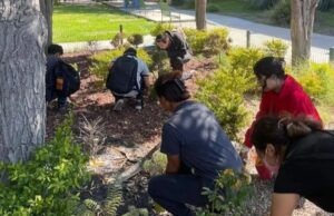 CLUB AMBIENTALISTA ECOCIMARRONES DE UABC, COMPROMETIDO CON LA PROTECCIÓN AMBIENTAL DESDE 2011