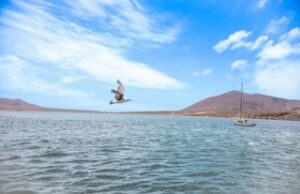 21 PLAYAS APTAS PARA VACACIONAR EN BC Y ALBERCAS PÚBLICAS VERIFICADAS SON OPCIÓN SALUDABLE ESTE VERANO