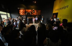 YA SE PUEDE VISITAR, EN LA UABC, LA EXHIBICIÓN “INSECTOS: EXTINTOS Y EN PELIGRO”