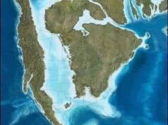 Un poco de historia…