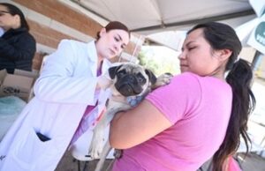 REALIZAN BRIGADA UABC EN TU COMUNIDAD