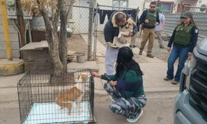 RESCATA FISCALÍA A MASCOTAS VÍCTIMAS DE MALTRATO