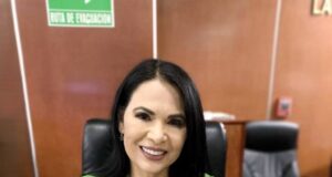 ENVÍAN A CÁMARA DE DIPUTADOS INICIATIVA SOBRE TARIFAS ELÉCTRICAS ESPECIALES PARA ZONAS DE CALOR EXTREMO