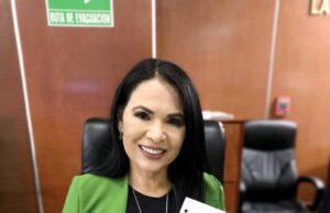 ENVÍAN A CÁMARA DE DIPUTADOS INICIATIVA SOBRE TARIFAS ELÉCTRICAS ESPECIALES PARA ZONAS DE CALOR EXTREMO