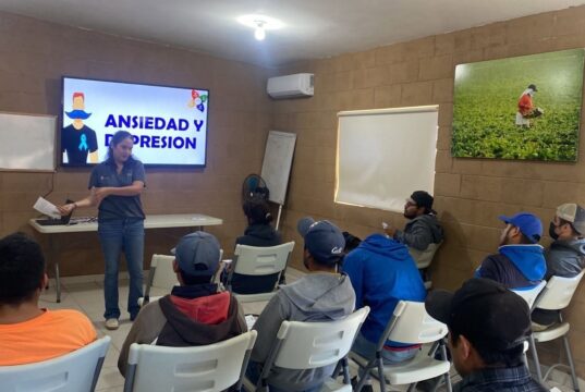 DAN ATENCIÓN PSICOLÓGICA GRATUITA EN EMPRESAS Y MAQUILADORAS DE BC